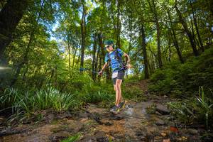 BIB: 
                            <button type="button" onclick="openModal(19230075)" class="btn btn-primary btn-sm float-right btn-popup" data-toggle="modal" data-target=".modal-high-quality">
                        <i class="fas fa-shopping-cart"></i> Add to Cart
                    </button>
                                            <button type="button" onclick="isThisMe(19230075, true)" class="btn btn-success btn-sm float-right btn-popup btn-isme hidden" data-toggle="tooltip" data-placement="bottom" title="นี่คือรูปของคุณใช่ไหม คลิกที่นี่เพื่อเอาเข้าอัลบั้ม">
                        <i class="fas fa-plus"></i> Add to album
                    </button>
                    <button type="button" onclick="isThisMe(19230075, false)" class="btn btn-warning btn-sm float-right btn-popup btn-isnotme hidden">
                        <i class="fas fa-ban"></i> Remove from album
                    </button>